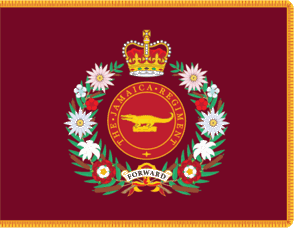 [Flag of 2nd Battalion]